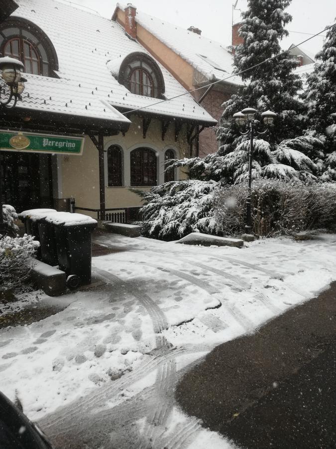 Peregrino Panzio Bed & Breakfast Budaors Bagian luar foto
